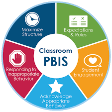 What is PBIS?